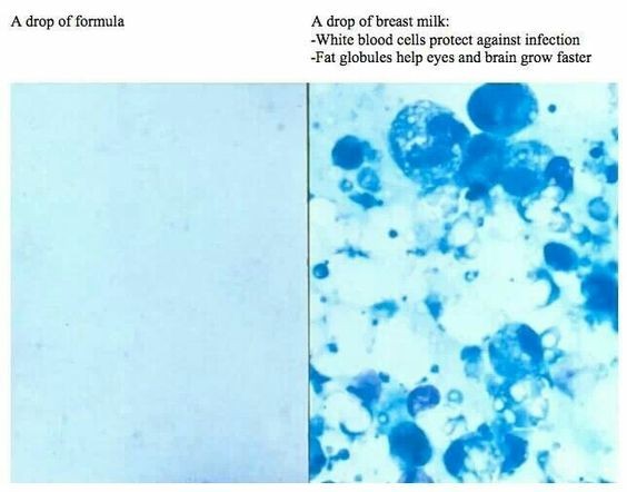 66f95f602bf550b88cda87f3f04c58bb