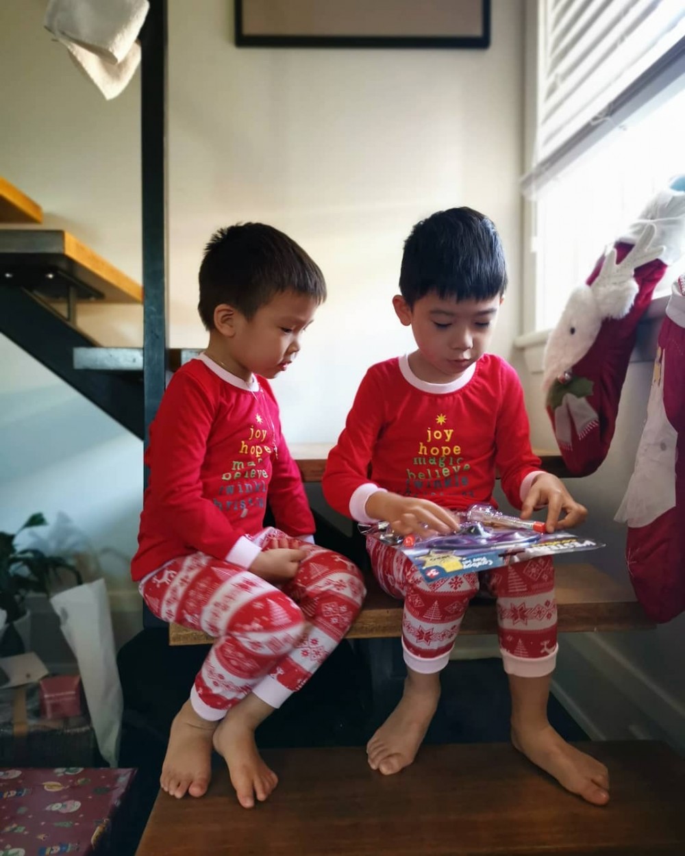 aimeechan_official_47583711_201712030774920_707593398154216731_n