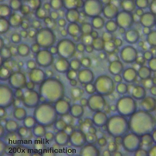 d65b23bd03662d8a857209d988a8b829