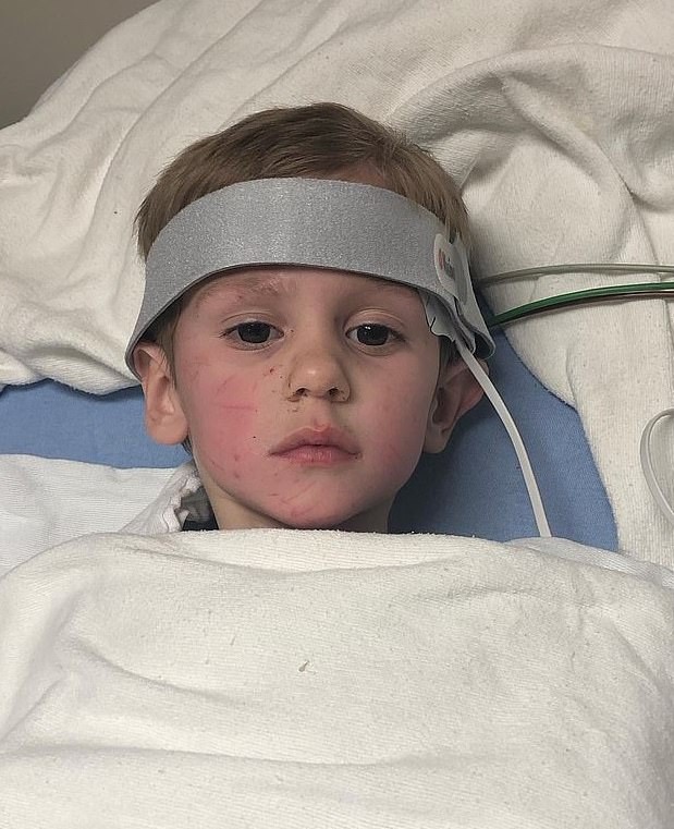 9003076-6634085-image-a-1_1548463204850