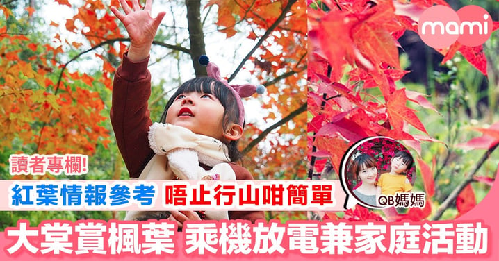 【假日玩樂 一年一度走進楓香紅葉林】