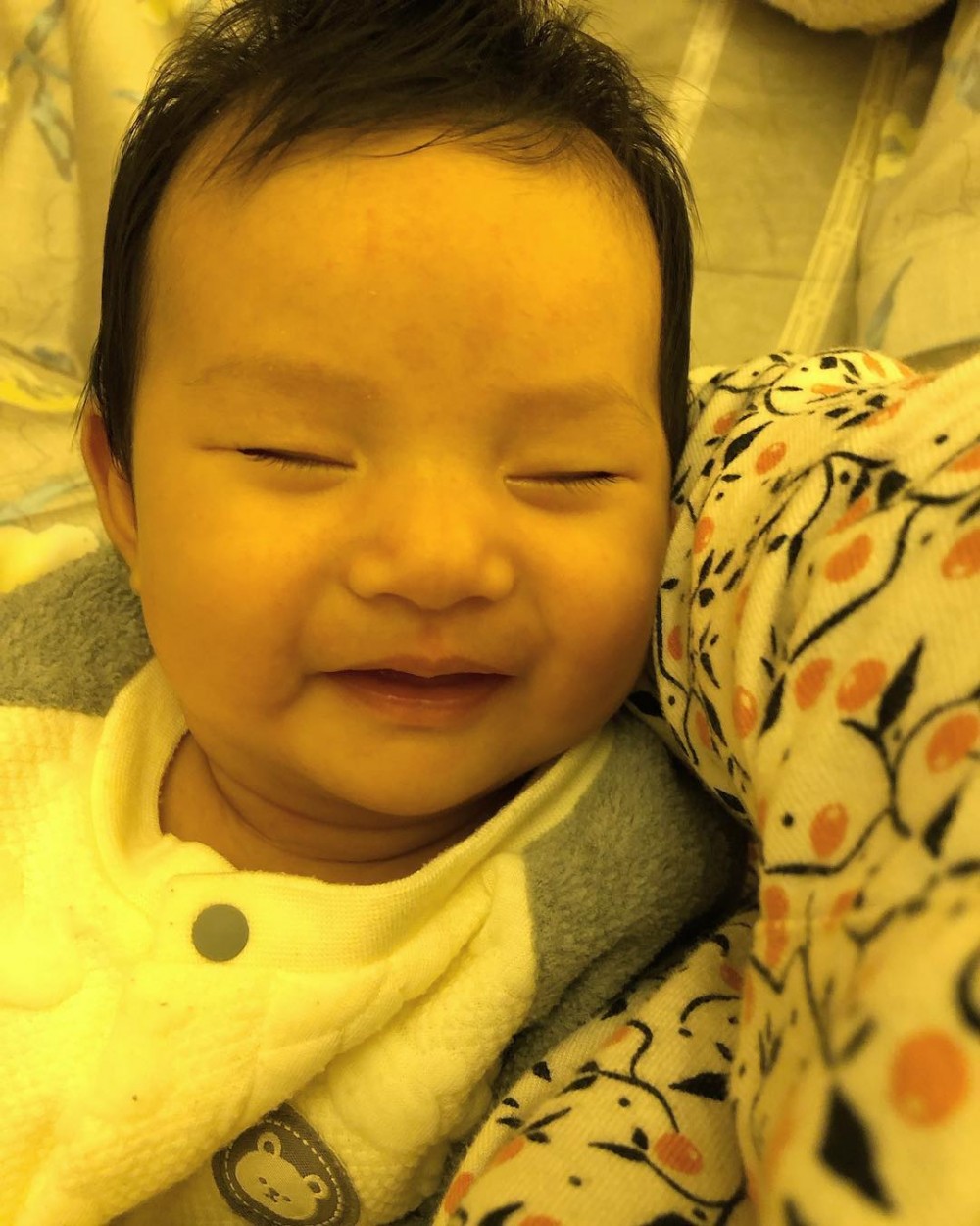 yan512_49608789_2227607937528996_6484313723123108623_n