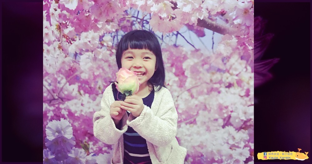 15512413954083Schneider Scents 2