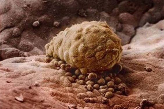 1c7ebccaf4246f4719ee13113f0918b6