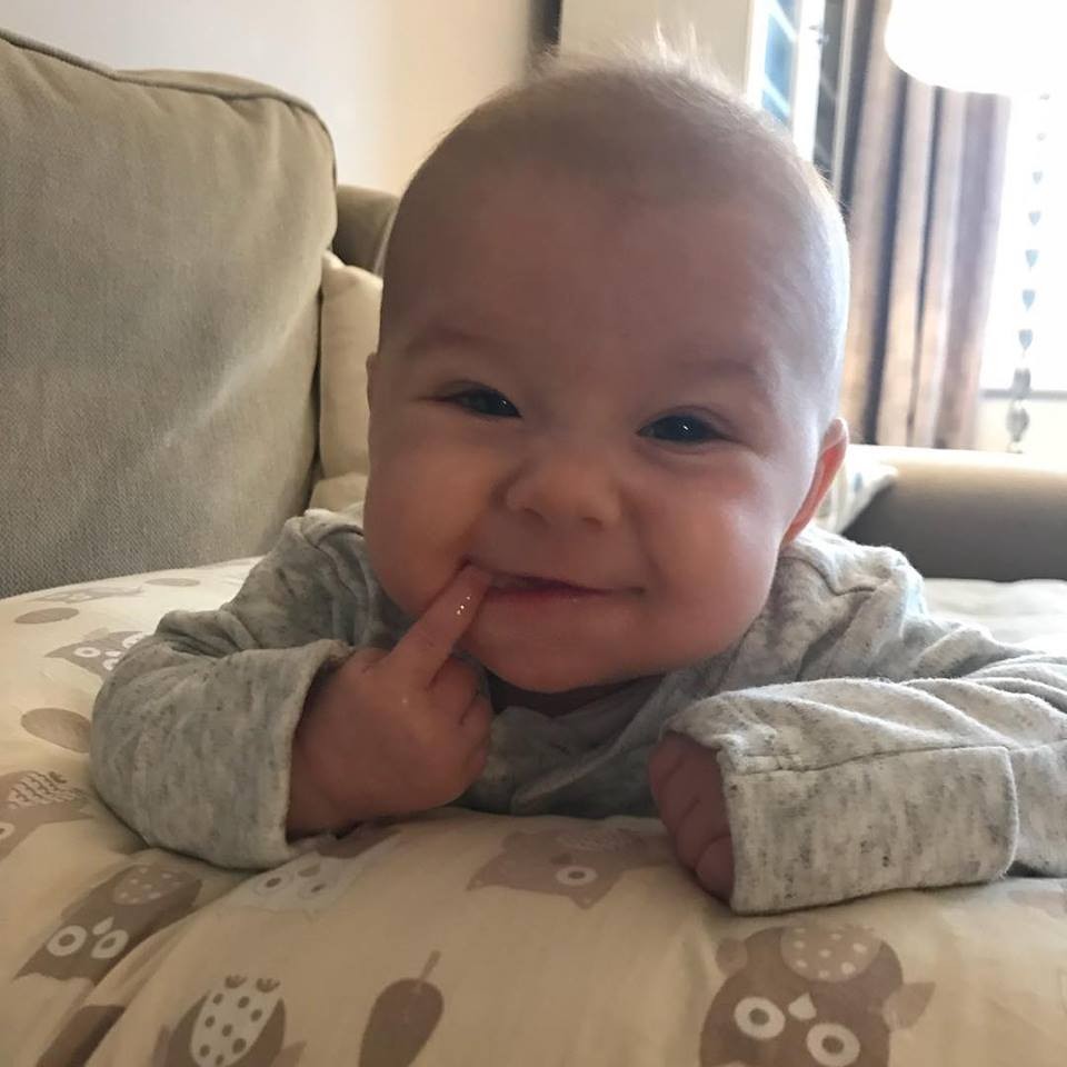 26730600_1309743245792742_3529188343300519301_n