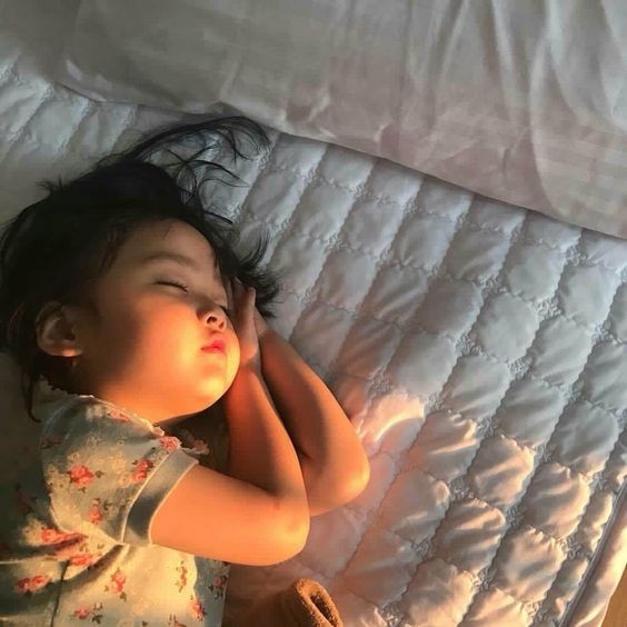 385e5984052ff9f1ce97d61b24981fc3