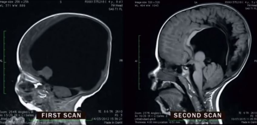 9fg631qXA0VD5vMFXX1u98J185_0T-2NY3dMjmN3TI4