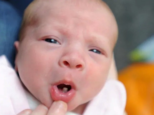 Screen Shot 2019-02-20 at 5.42.43 PM