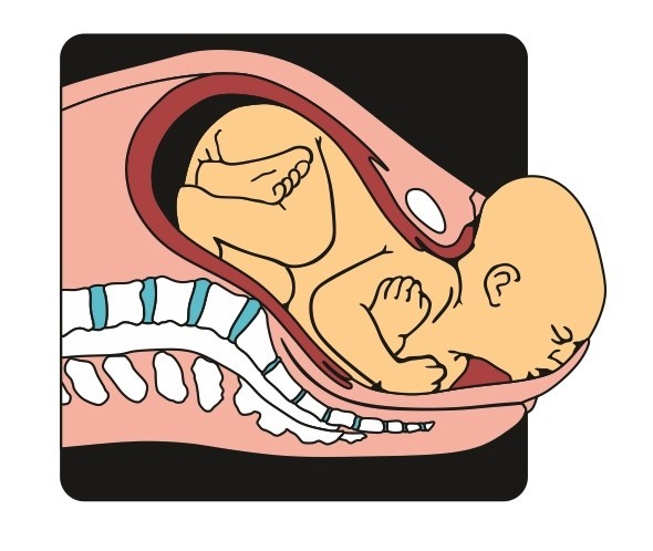 Screen Shot 2019-02-26 at 11.24.03 AM