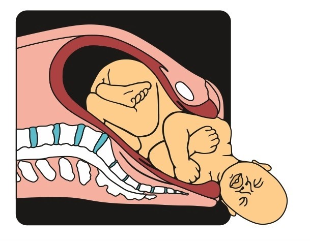 Screen Shot 2019-02-26 at 11.25.13 AM