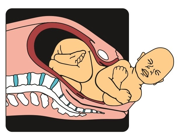 Screen Shot 2019-02-26 at 11.26.40 AM