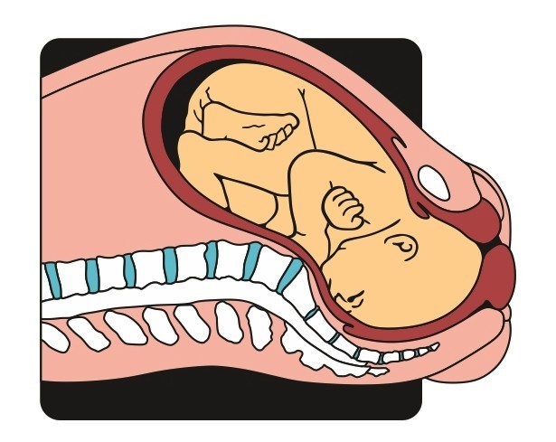 Screen Shot 2019-02-26 at 11.27.11 AM