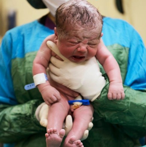 Screen Shot 2019-02-26 at 11.58.21 AM