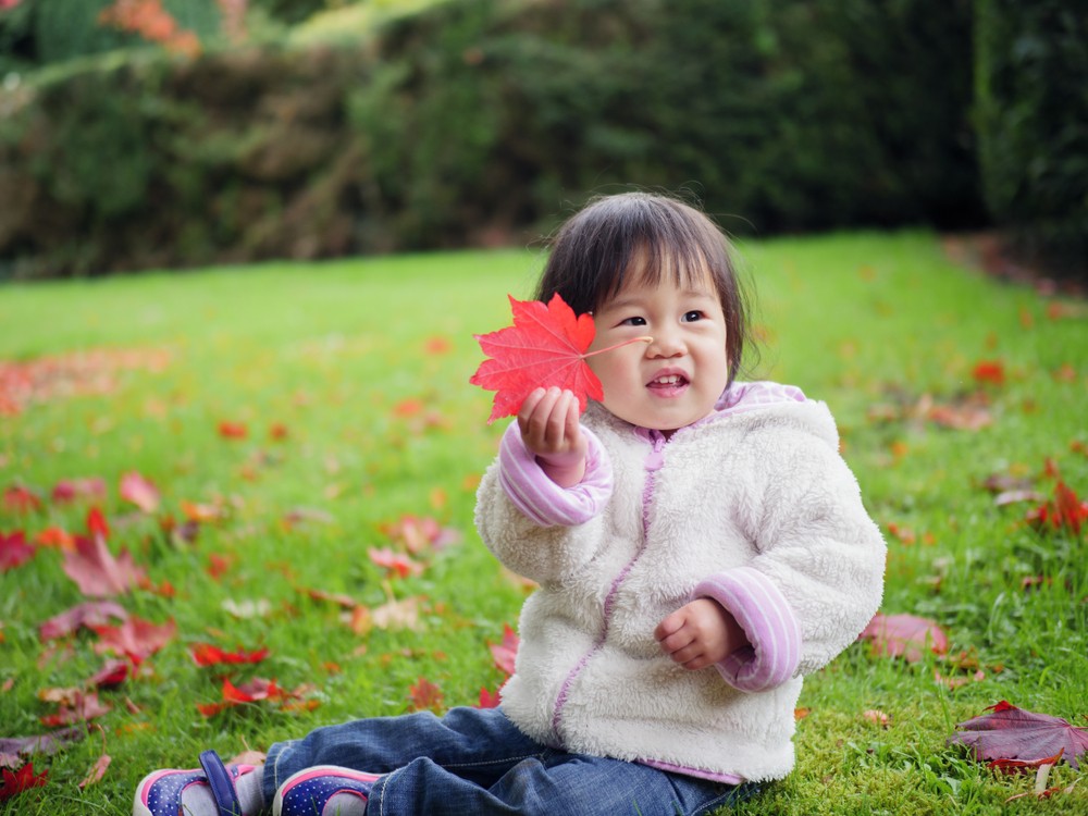 shutterstock_769941121