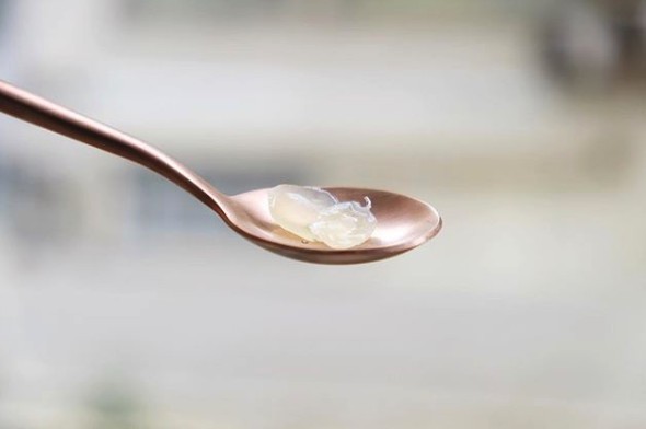 螢幕快照-2018-12-24-下午2.06.06