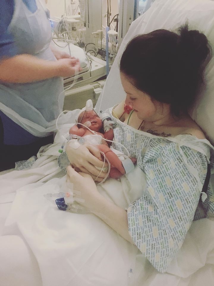 44031751_1917332298356837_4545219127484088320_n