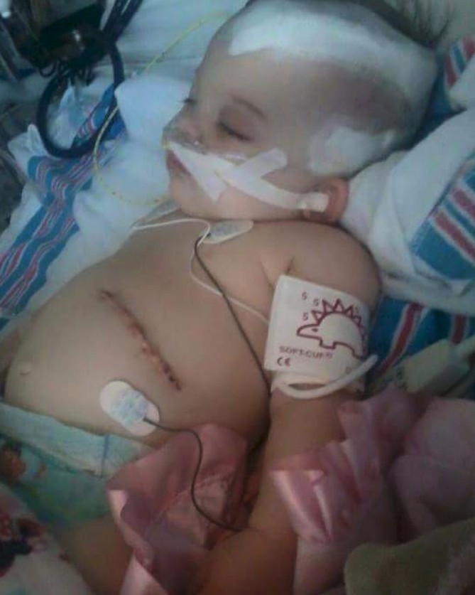 Screen Shot 2019-03-22 at 10.24.44 AM