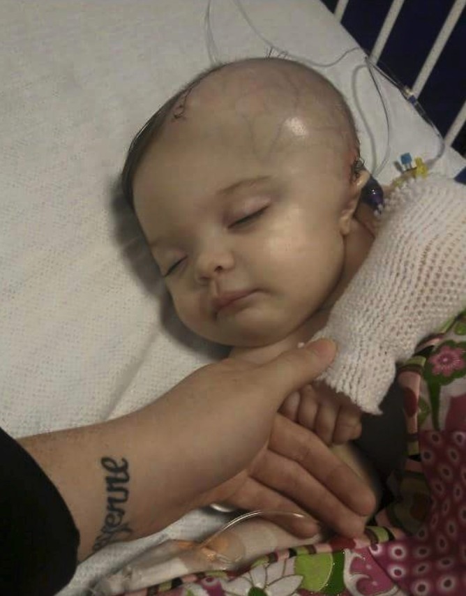 Screen Shot 2019-03-22 at 10.25.16 AM