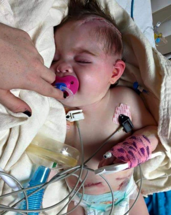 Screen Shot 2019-03-22 at 10.25.29 AM