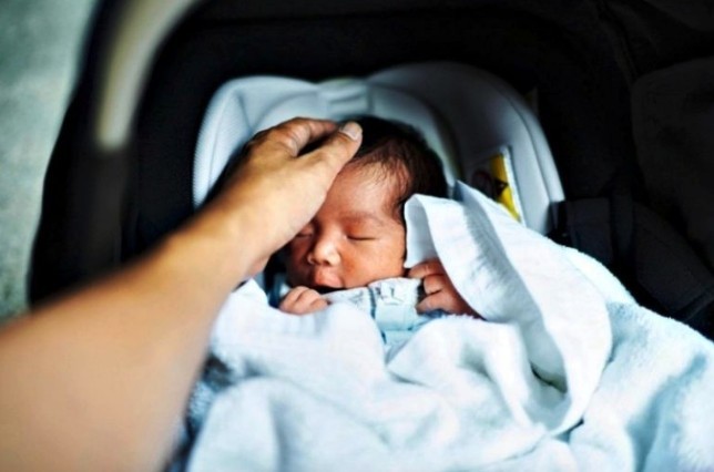 Screen Shot 2019-03-28 at 11.43.30 AM