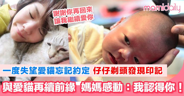 發現仔仔現「約定印記」台灣媽媽感激愛貓守約