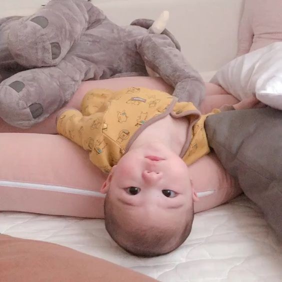 ec8f7eadcab55cede5a0ca1db72addfc