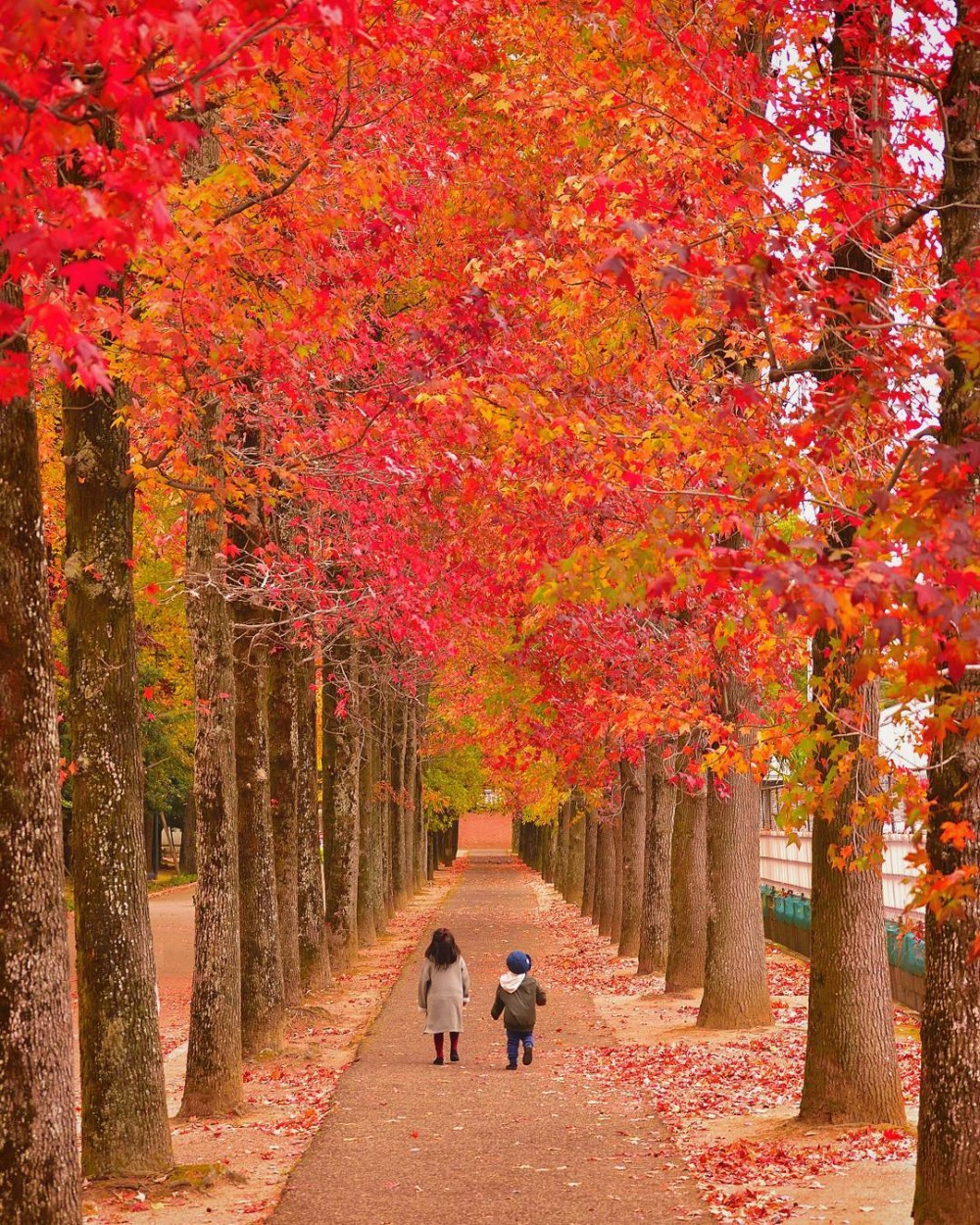 kaji_nori06_23507783_1463166280468473_8188896938473553920_n