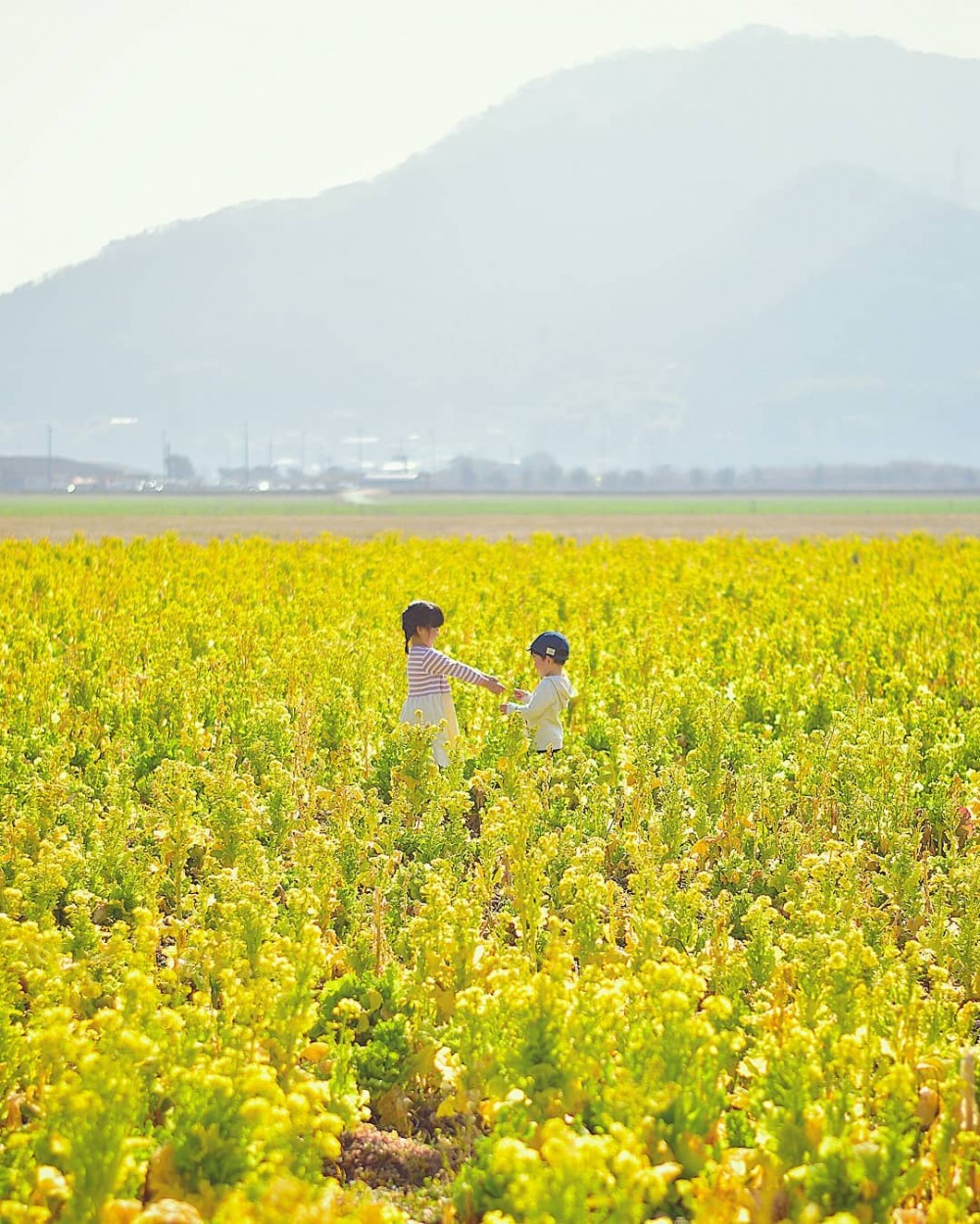 kaji_nori06_28429543_1620344291353634_651656717599244288_n