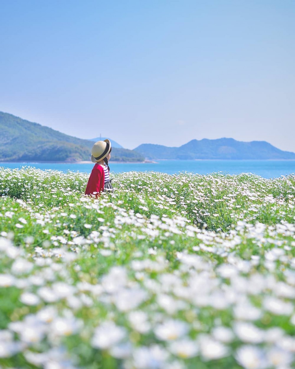 kaji_nori06_31232925_320574261806775_7275899209033711616_n