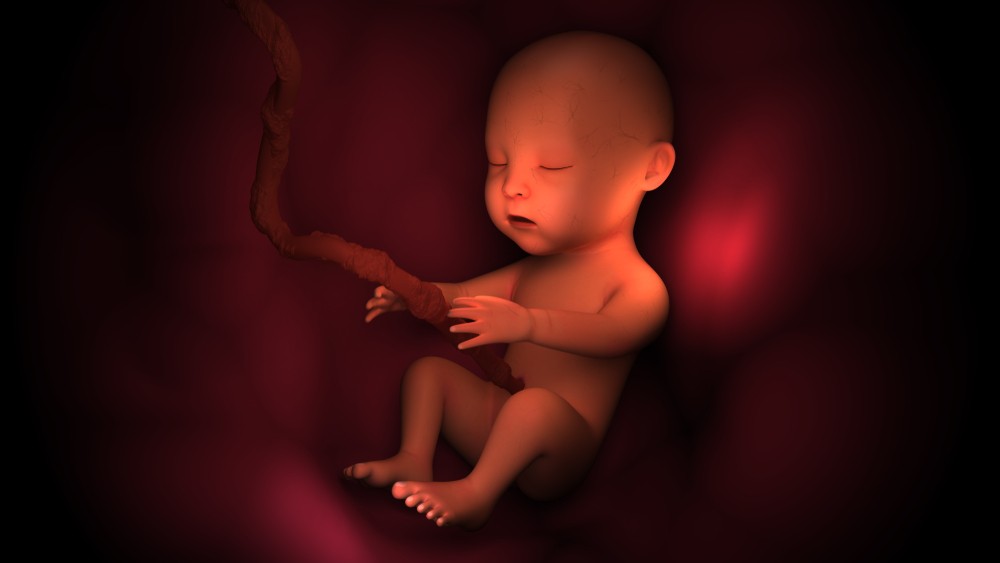 shutterstock_1026791245