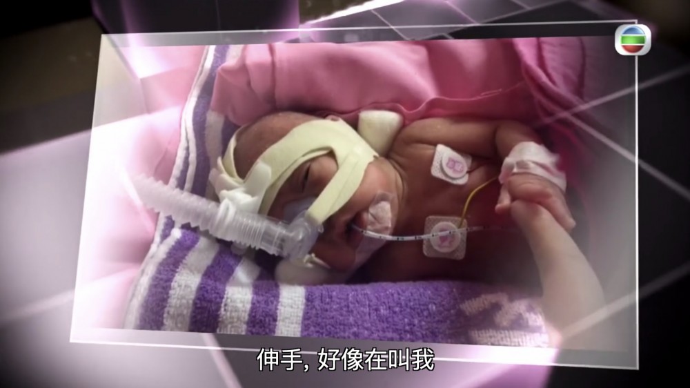 無綫電視截圖