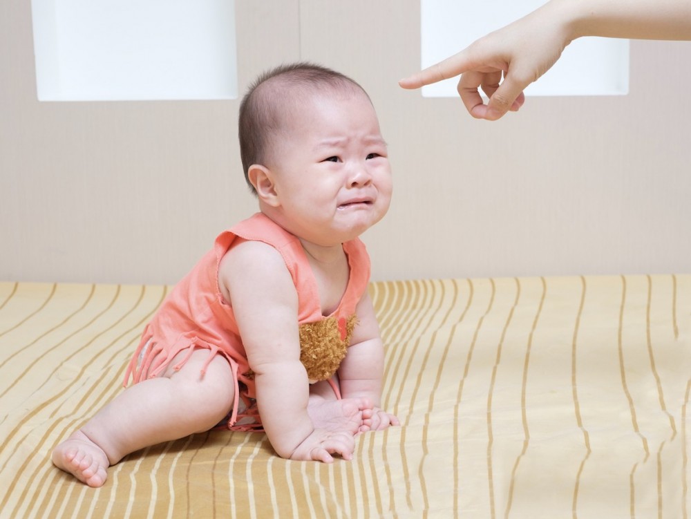 Mamidaily