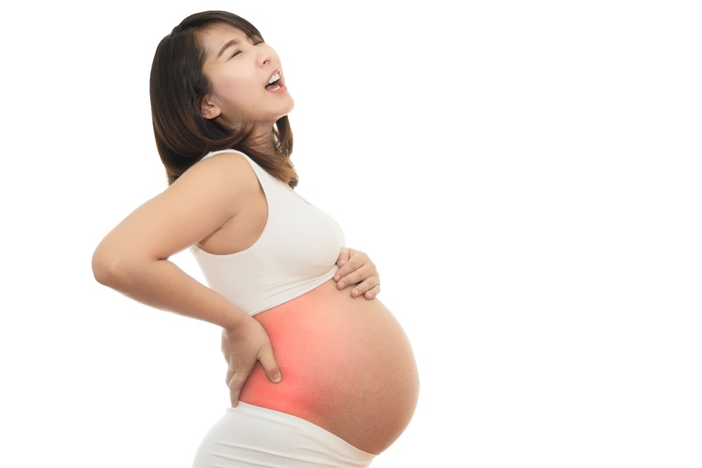 Mamidaily