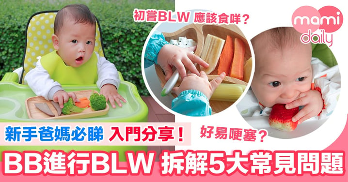 【入門】BB進行BLW 5大常見問題