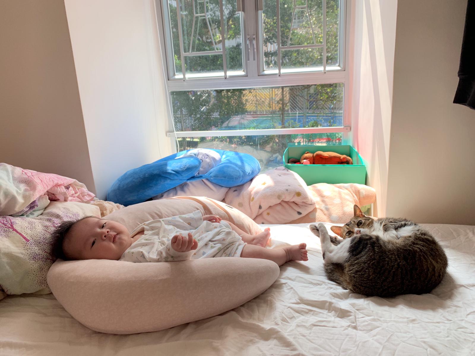 15672175565054WhatsApp Image 2019-08-30 at 15.07.10 (1)