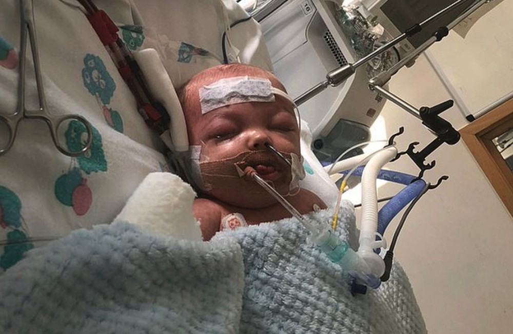 Screen Shot 2019-08-13 at 11.16.26 AM