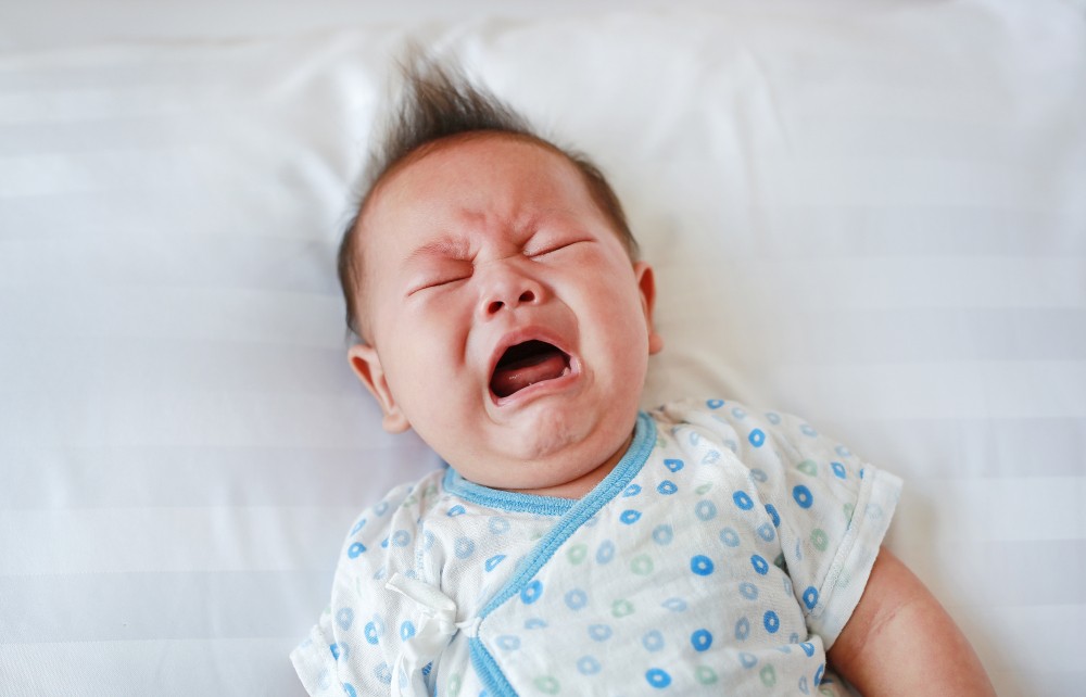shutterstock_1039706197