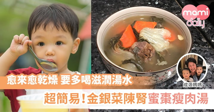 【成洛媽媽家常湯】金銀菜陳腎蜜棗瘦肉湯