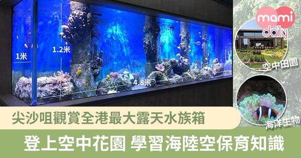 【親子好去處】登上空中保育花園 觀賞全港最大露天水族箱