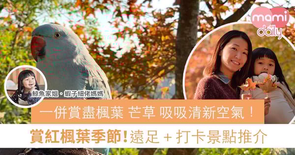 【親子好去處】紅楓葉季節又來了!行山遠足靚景推介