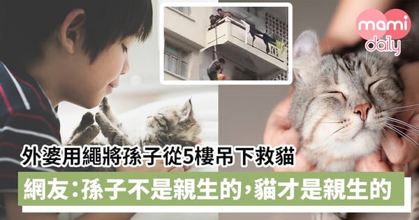 【驚險一幕】外婆用繩將孫子從5樓吊下救貓 網友:孫子不是親生的,貓才是親生的