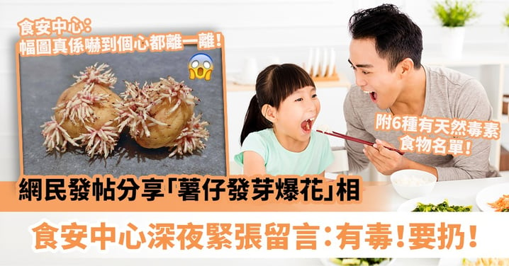 【食物安全】網民發帖分享「薯仔發芽爆花」相　驚動食安中心深夜緊張留言：有毒！要扔！