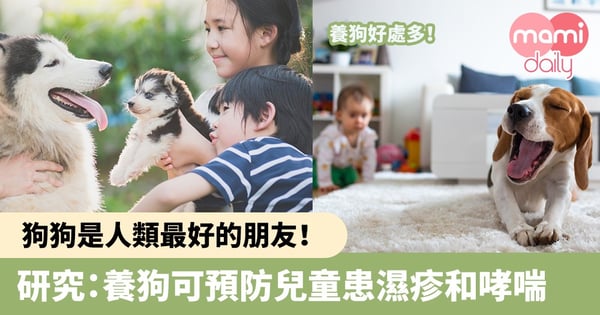 【兒童健康】狗狗是人類最好的朋友!研究:養狗可預防兒童患濕疹和哮喘風險