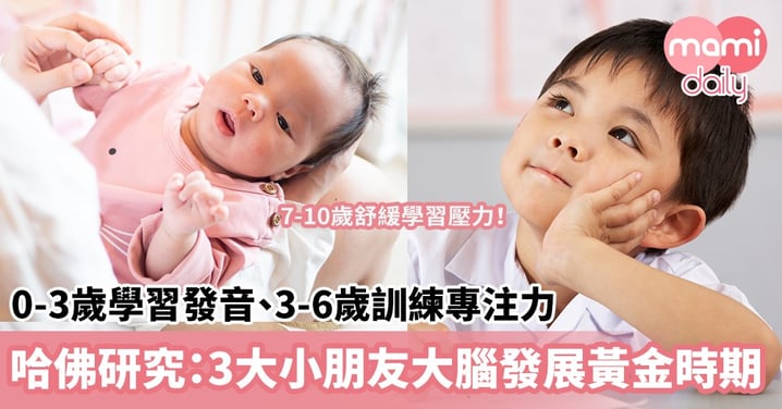 【孩子成長密碼】0-3歲學習發音、3-6歲訓練專注力、7-10歲舒緩學習壓力！哈佛研究：3大小朋友大腦發展黃金時期