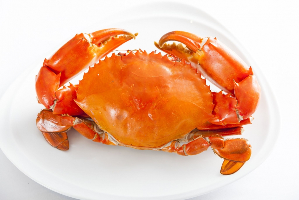 螃蟹寒涼,孕婦不宜多吃