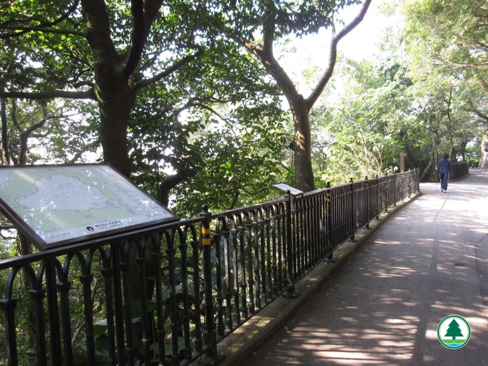 薄扶林樹木研習徑極佳景致