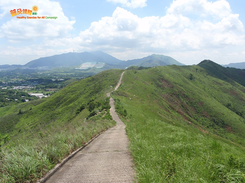 山路蜿蜒起伏，貫通山脊