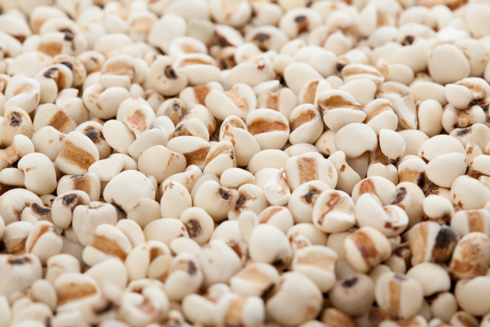 冬瓜配搭薏米用來煲湯至好不過