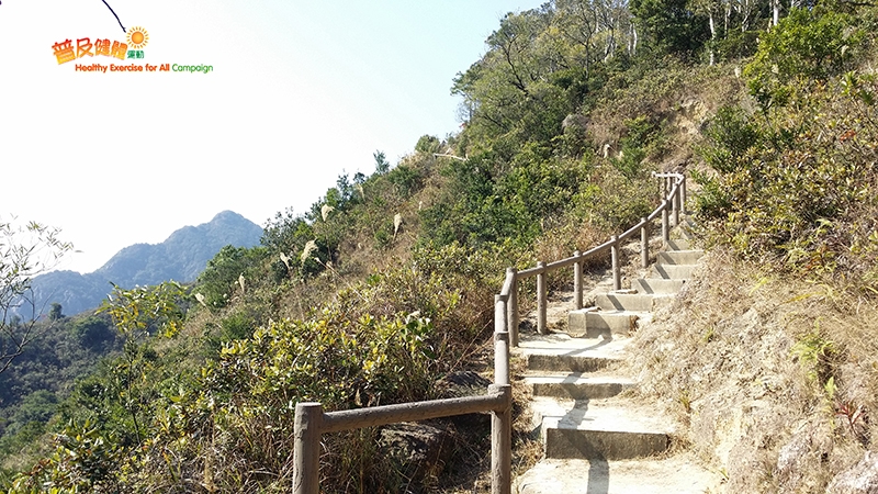 到郊外走一走，精神特別好