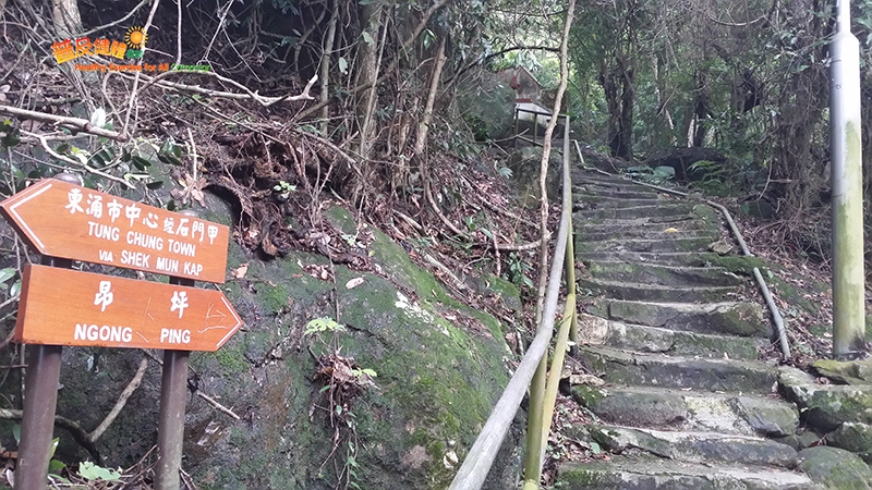 全程多為上坡路段及梯級，需注意小童體力